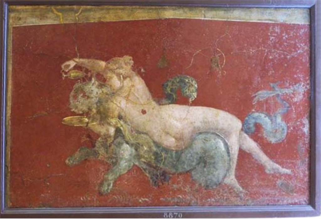 Stabiae, Villa Arianna, found 5th April 1760. Ante camera to room 3, painting of nereid on a sea panther.
Now in Naples Archaeological Museum. Inventory number 8870. 
See Pagano, M. and Prisciandaro, R., 2006. Studio sulle provenienze degli oggetti rinvenuti negli scavi borbonici del regno di Napoli.  Naples: Nicola Longobardi, p. 245.
See Sampaolo V. and Bragantini I., Eds, 2009. La Pittura Pompeiana. Electa: Verona, p. 449.
