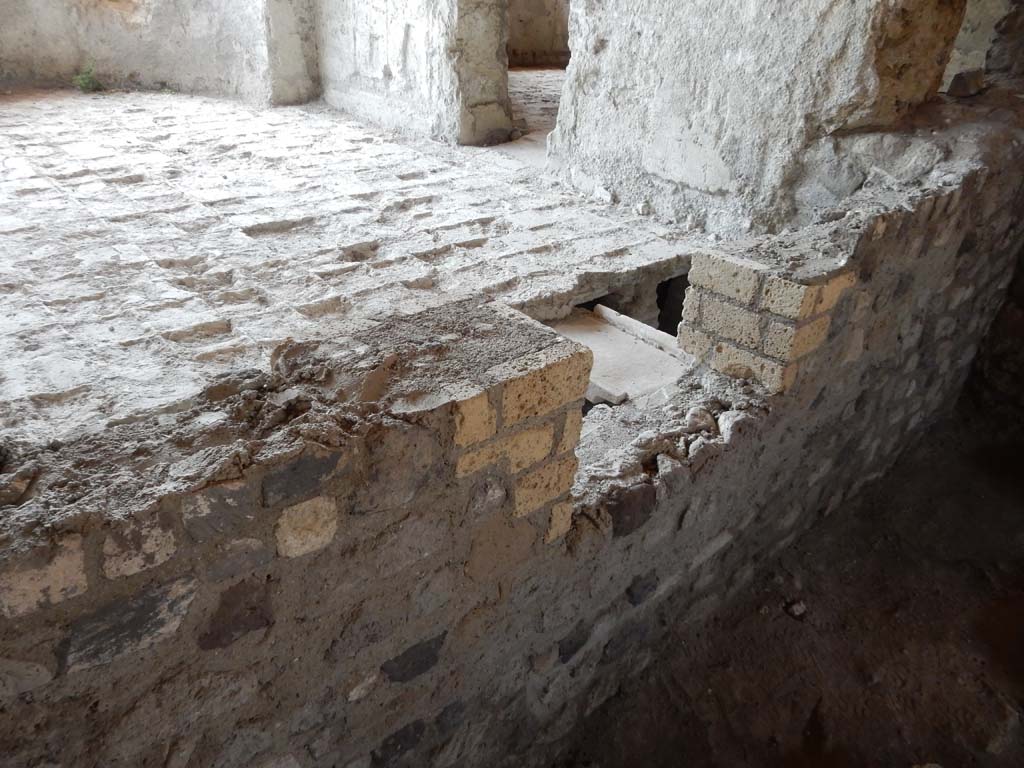 Stabiae, Villa Arianna, June 2019. Room 31, tepidarium, detail of flooring. Photo courtesy of Buzz Ferebee.