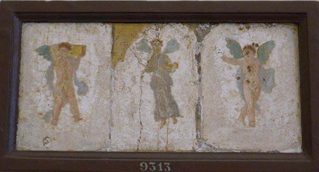 Stabiae, Villa Arianna, found 7th July 1759. Room W.29 or W.30, paintings of three winged figures.
Now in Naples Archaeological Museum. Inventory number 9313. 
See Pagano, M. and Prisciandaro, R., 2006. Studio sulle provenienze degli oggetti rinvenuti negli scavi borbonici del regno di Napoli.  Naples: Nicola Longobardi, p. 242.
See Sampaolo V. and Bragantini I., Eds, 2009. La Pittura Pompeiana. Electa: Verona, p. 493.

