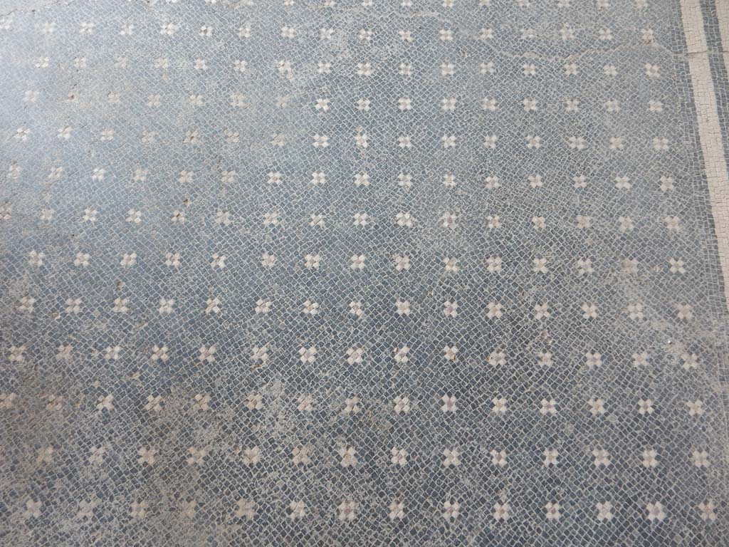 Stabiae, Villa Arianna, June 2019.  W30, detail of flooring. Photo courtesy of Buzz Ferebee.