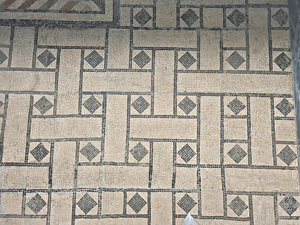 Villa Arianna, Stabia. June 2024.
Black and white mosaic now on display in Room CXXXVI (136) of the first floor of Naples Archaeological Museum. 
Detail of floor from room 27 of Villa Arianna, Stabia. Photo courtesy of Giuseppe Ciaramella.

