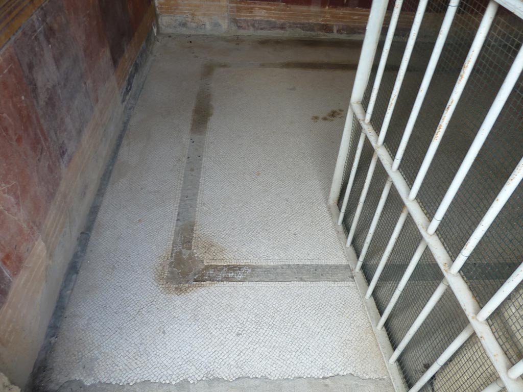 Stabiae, Villa Arianna, September 2015. Room 45, mosaic floor.