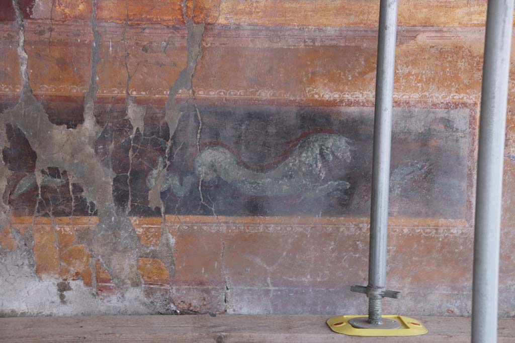 Stabiae, Villa Arianna, September 2021. Room 42, painted zoccolo on west wall. Photo courtesy of Klaus Heese.