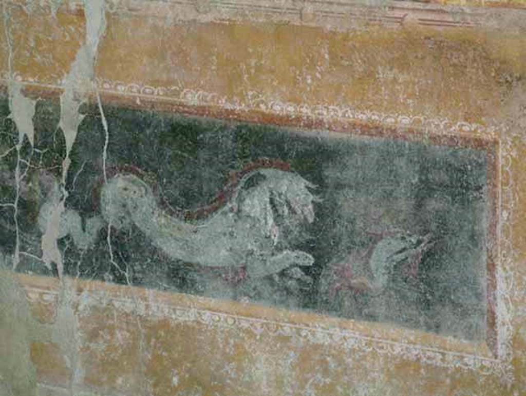 Stabiae, Villa Arianna, April 2005. Room 42, painted zoccolo on west wall. 
Photo courtesy of Michael Binns.
