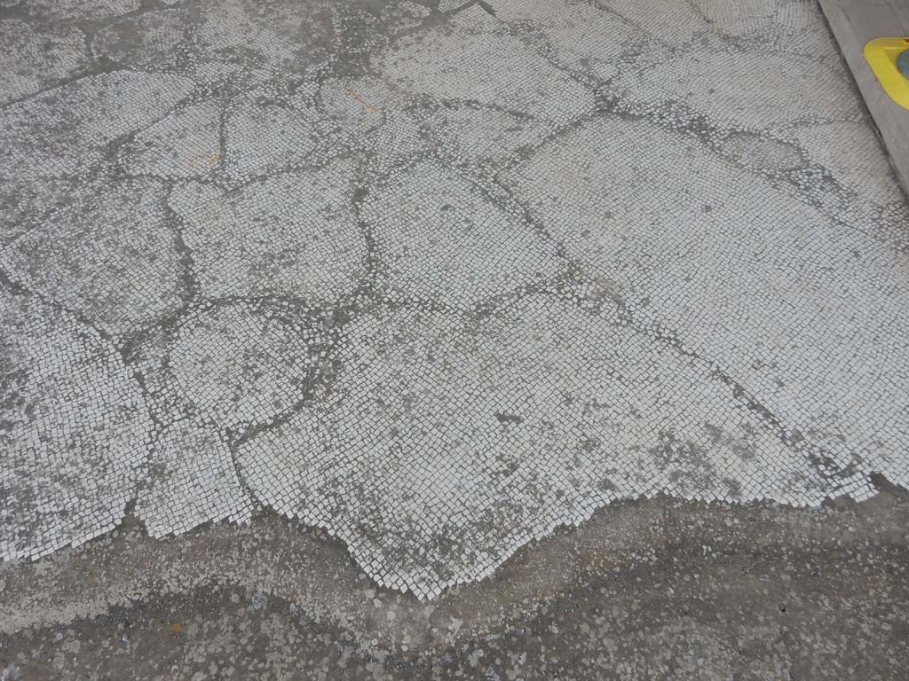 Stabiae, Villa Arianna, June 2019. Room 42, detail of mosaic flooring. Photo courtesy of Buzz Ferebee.

