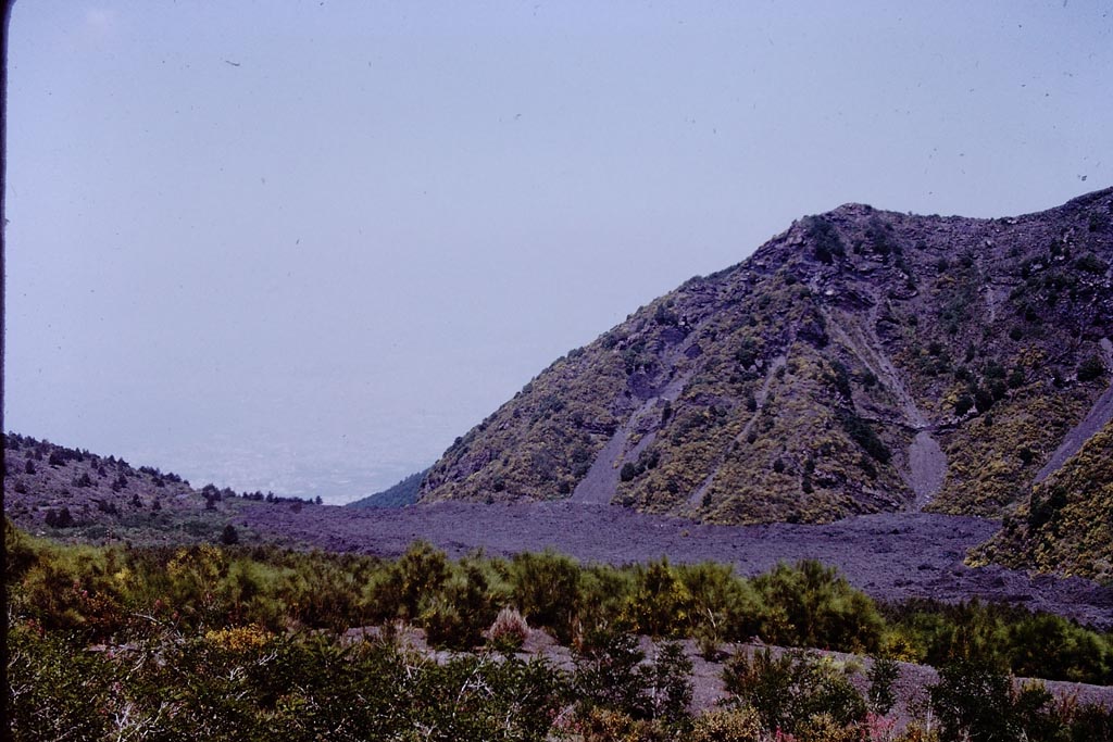 Vesuvius, 1972. Revegetated lava. Photo by Stanley A. Jashemski. 
Source: The Wilhelmina and Stanley A. Jashemski archive in the University of Maryland Library, Special Collections (See collection page) and made available under the Creative Commons Attribution-Non-commercial License v.4. See Licence and use details.
J72f0042
