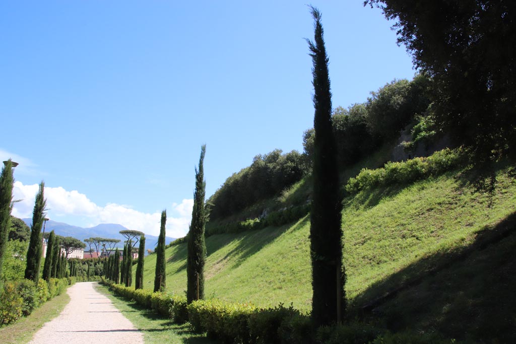 Walls between Tower VI and Sarno Gate, May 2024. Looking south. Photo courtesy of Klaus Heese.