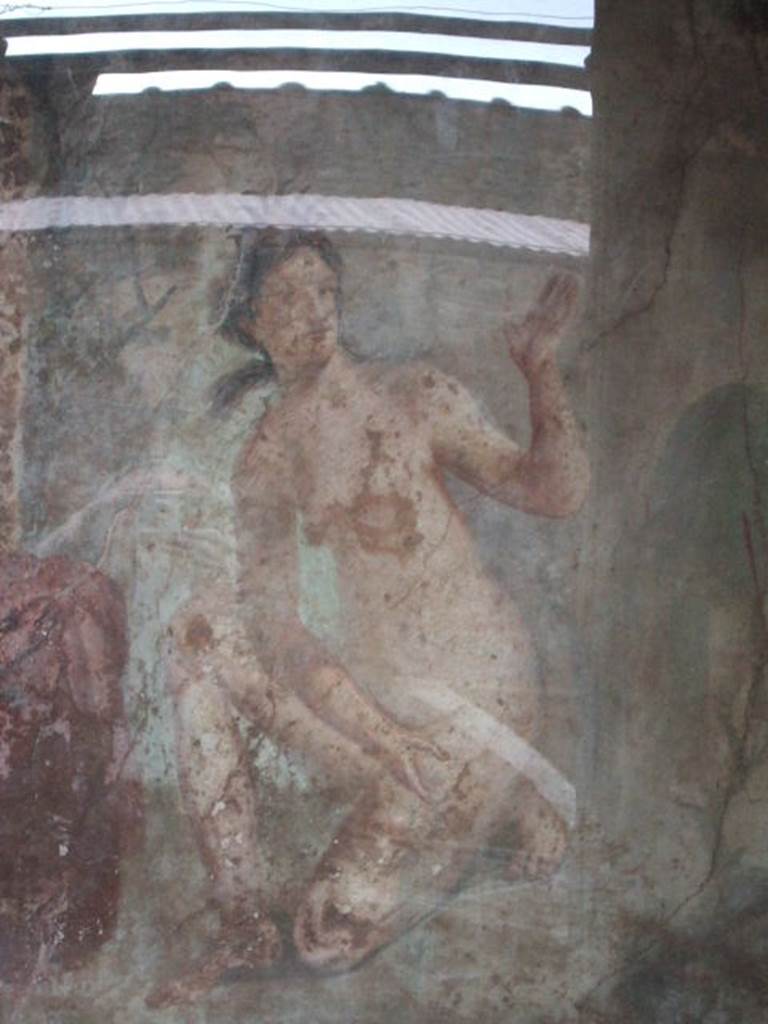 II.2.2 Pompeii. December 2005. Room "i". West end of upper euripus.
Painting of Actaeon discovering Diana bathing.