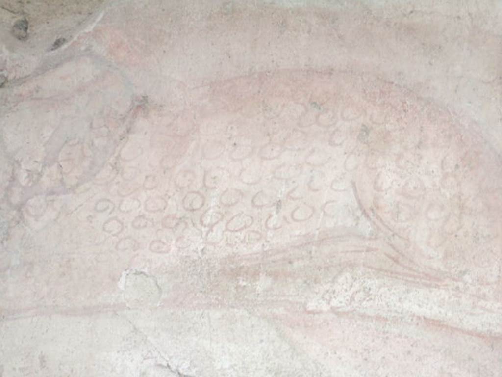 II.2.2 Pompeii. December 2005. Room “i”. Painting of leopard on north wall of upper euripus.