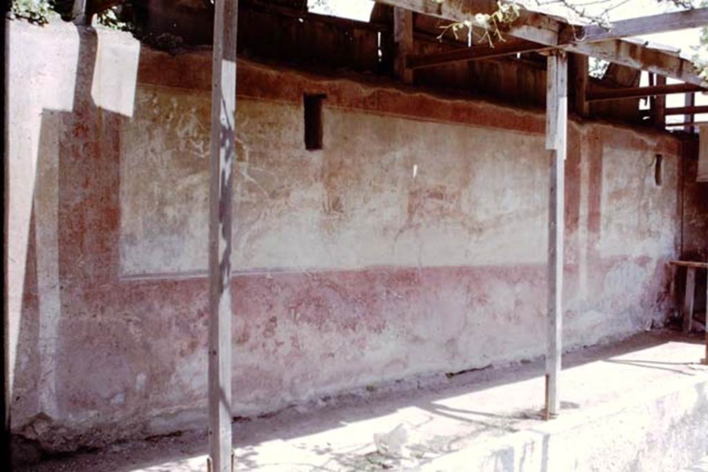 II.2.2 Pompeii. 1964. Room “i”, large hunting scene on north wall of upper euripus. Photo by Stanley A. Jashemski.
Source: The Wilhelmina and Stanley A. Jashemski archive in the University of Maryland Library, Special Collections (See collection page) and made available under the Creative Commons Attribution-Non Commercial License v.4. See Licence and use details.
J64f1062