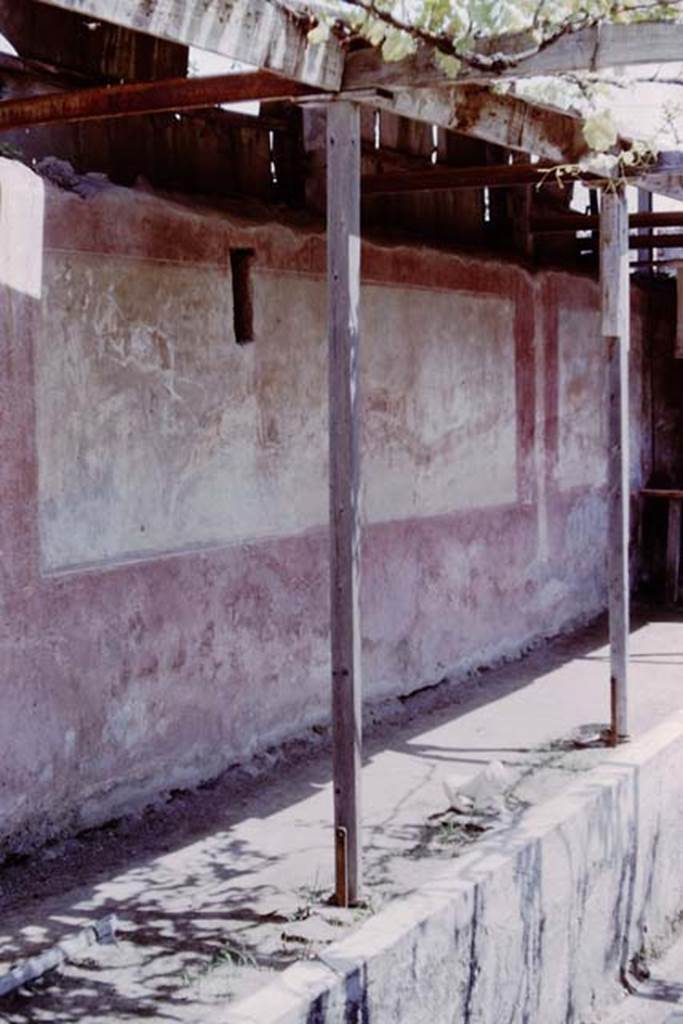 II.2.2 Pompeii. 1964. Room “i”, large hunting scene on north wall of upper euripus. Photo by Stanley A. Jashemski.
Source: The Wilhelmina and Stanley A. Jashemski archive in the University of Maryland Library, Special Collections (See collection page) and made available under the Creative Commons Attribution-Non Commercial License v.4. See Licence and use details.
J64f1061