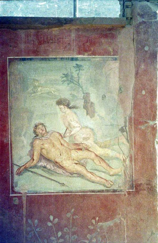 II.2.2 Pompeii. July 2011. Room “k”, painting of the myth of Pyramus and Thisbe.
Photo courtesy of Rick Bauer.