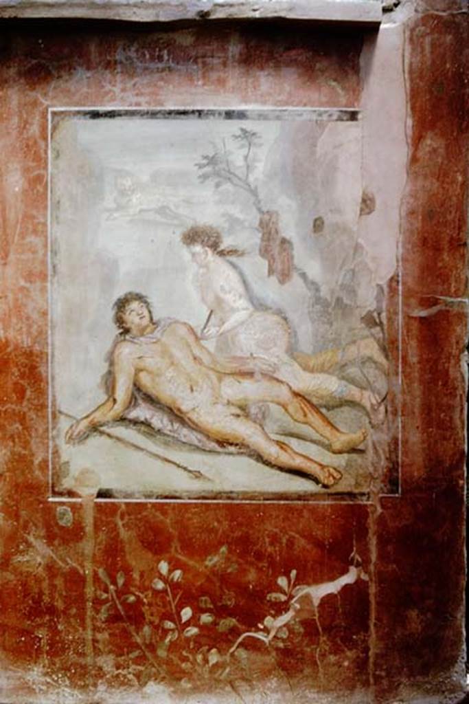 II.2.2 Pompeii. 1966. Room “k”, painting on east wall of summer dining room. Photo by Stanley A. Jashemski.
Source: The Wilhelmina and Stanley A. Jashemski archive in the University of Maryland Library, Special Collections (See collection page) and made available under the Creative Commons Attribution-Non Commercial License v.4. See Licence and use details.
J66f0264