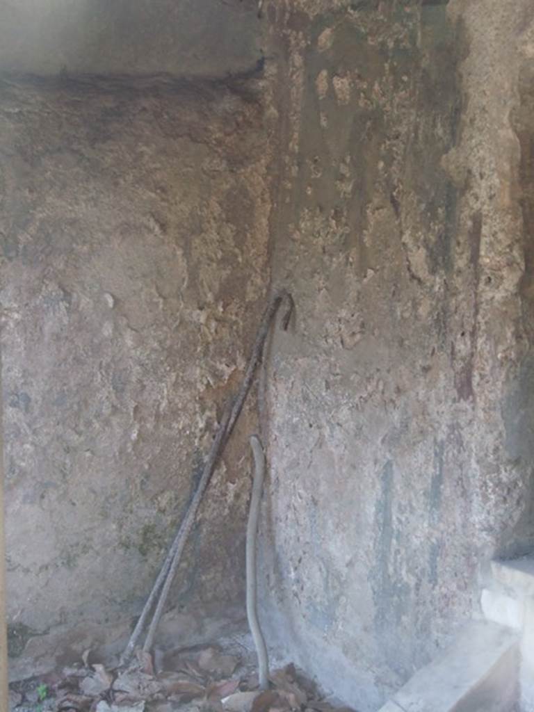 II.2.2 Pompeii. March 2009. Room 13. Garden. Wall of Nymphaeum on west side. Remains of painting of Diana or Artemis.