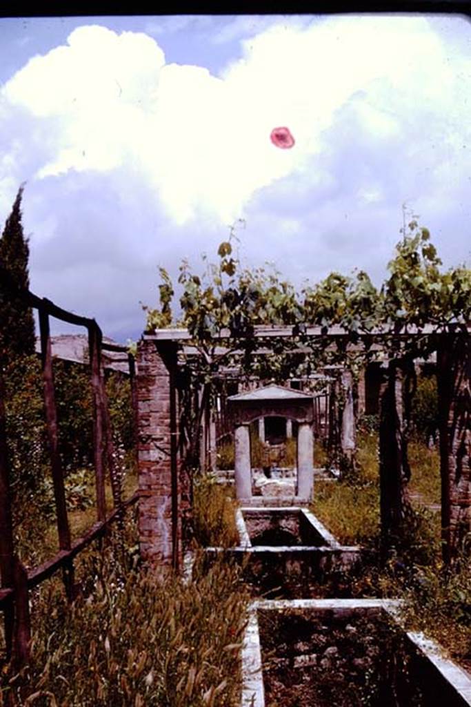 II.2.2 Pompeii. 1961. Room “l”, garden, looking north from south end.
Photo by Stanley A. Jashemski.
Source: The Wilhelmina and Stanley A. Jashemski archive in the University of Maryland Library, Special Collections (See collection page) and made available under the Creative Commons Attribution-Non Commercial License v.4. See Licence and use details.
J61f0404