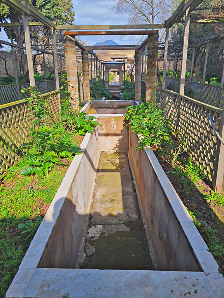 II.2.2 Pompeii. March 2024.
Room “l”, (L), garden. Looking north from south end of garden. Photo courtesy of Giuseppe Ciaramella.