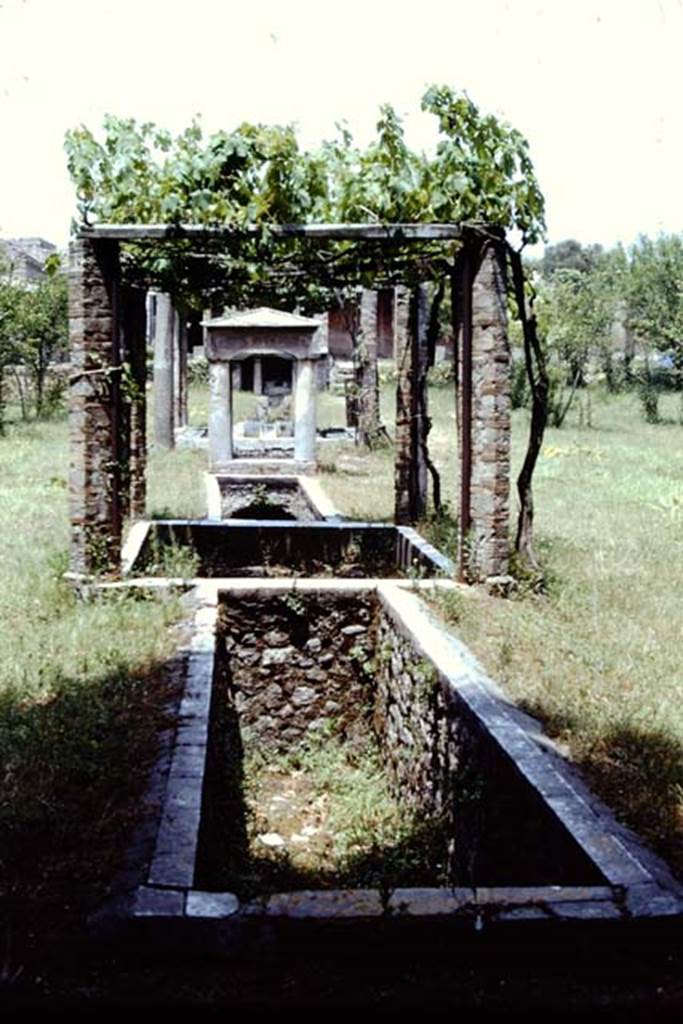 II.2.2 Pompeii. 1974. Room “l”, looking north along garden from south end.
Photo by Stanley A. Jashemski.
Source: The Wilhelmina and Stanley A. Jashemski archive in the University of Maryland Library, Special Collections (See collection page) and made available under the Creative Commons Attribution-Non Commercial License v.4. See Licence and use details.
J74f0865