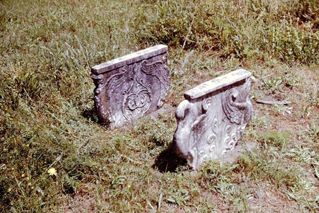 II.2.2 Pompeii. 1961.Marble table supports, photographed in the garden area.
Photo by Stanley A. Jashemski.
Source: The Wilhelmina and Stanley A. Jashemski archive in the University of Maryland Library, Special Collections (See collection page) and made available under the Creative Commons Attribution-Non Commercial License v.4. See Licence and use details. J61f0403