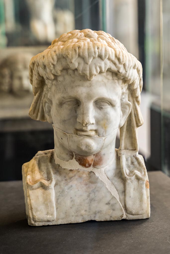 II.2.2 Pompeii. January 2023.
Room “i”, white marble bust of a man, perhaps a young Dionysus.
Found on the north side of the upper euripus in the garden.
On display in exhibition in Palaestra. Photo courtesy of Johannes Eber.