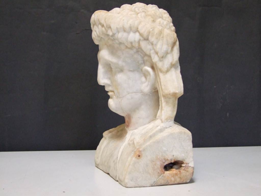 II.2.2 Pompeii. March 2009. Room “i”. White marble bust of a man, perhaps a young Dionysus. Found on the north side of the upper euripus in the garden.
SAP inventory number: 20382