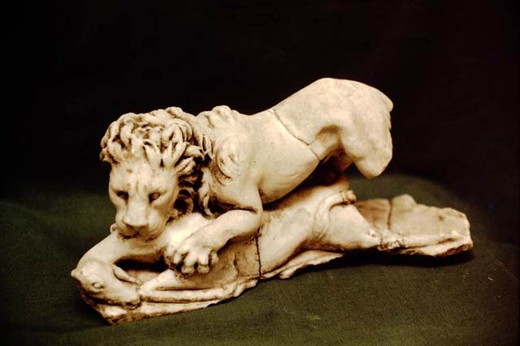 II.2.2 Pompeii, 1978. Room “i”. White marble statuette of a lion tearing an antelope to pieces.
SAP inventory number 2929. Found on the north side of the upper euripus in the garden. Photo by Stanley A. Jashemski.
Source: The Wilhelmina and Stanley A. Jashemski archive in the University of Maryland Library, Special Collections (See collection page) and made available under the Creative Commons Attribution-Non Commercial License v.4. See Licence and use details. J78f0172