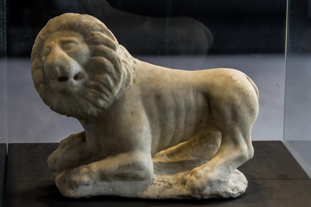 II.2.2 Pompeii. January 2023. Room “i”. White marble statue of a lion with a ram’s head beneath its paw.
Found on the south side of the upper euripus in the garden. On display in exhibition in Palaestra. Photo courtesy of Johannes Eber.