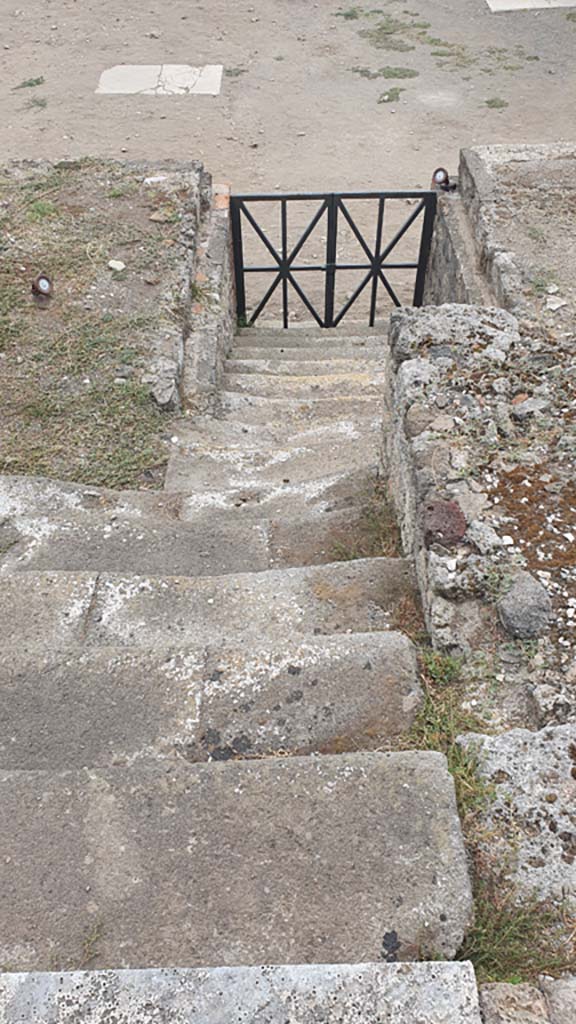 VII.8.1 Pompeii. August 2021. Looking down steps on west side.
Foto Annette Haug, ERC Grant 681269 DÉCOR.
