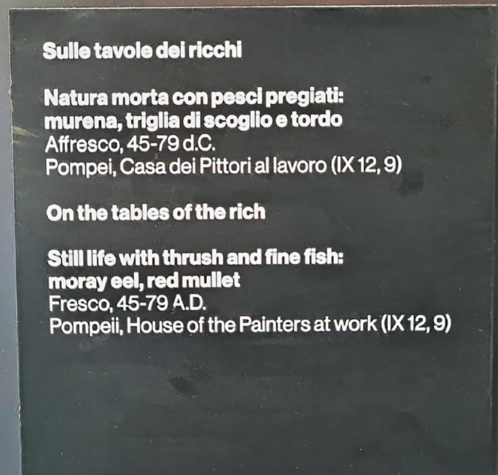 IX.12.9 Pompeii. March 2024. Description card from exhibition entitled - 
“L’altra Pompei, vite comuni all’ombra del Vesuvio” (“The other Pompeii, common lives in the shadow of Vesuvius.”)
From 15th December 2023 until 15th December 2024. Photo courtesy of Giuseppe Ciaramella.
