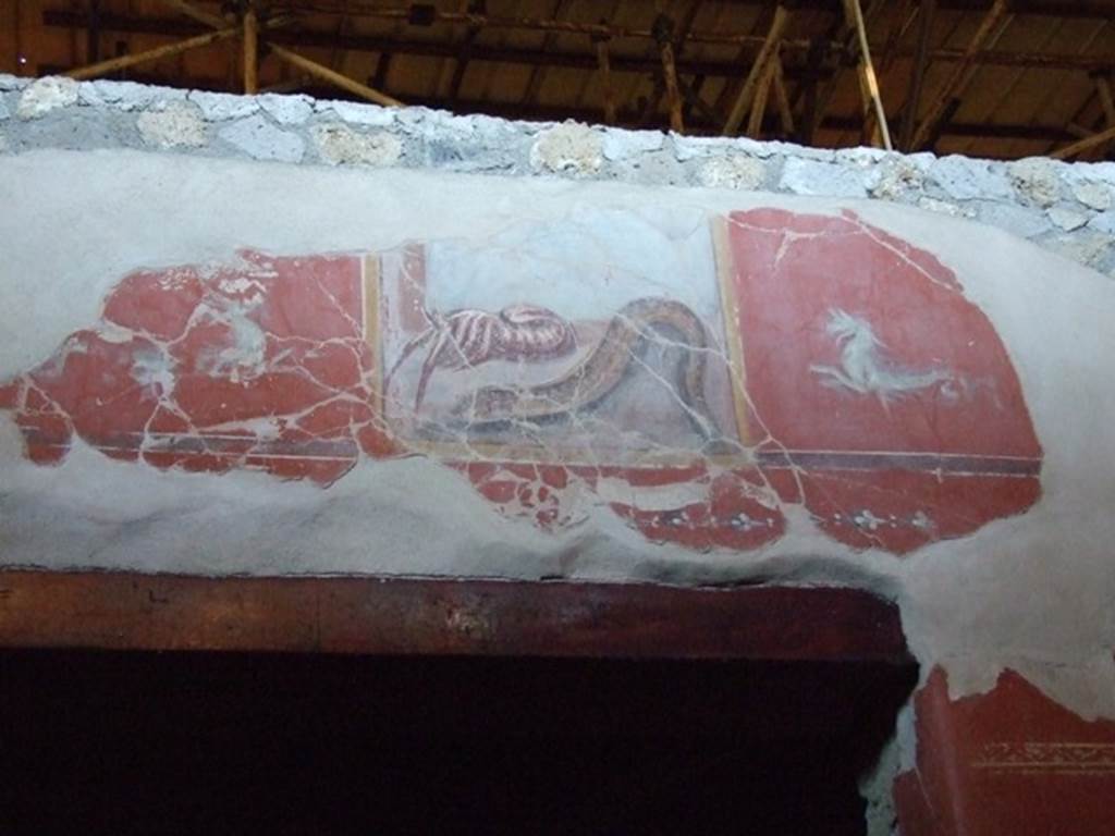 IX.12.9 Pompeii. March 2009. Room 3, upper west wall. Wall painting (of lobster and eel?) above door.