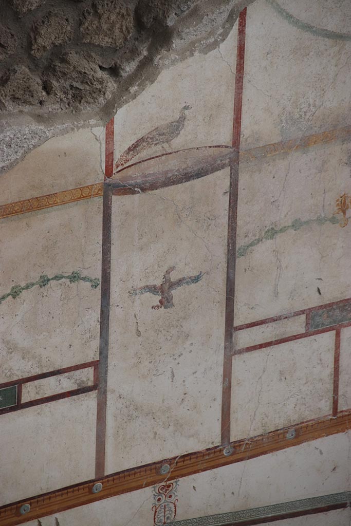 IX.12.9 Pompeii. October 2024. Room 13, detail from upper east wall. Photo courtesy of Klaus Heese.